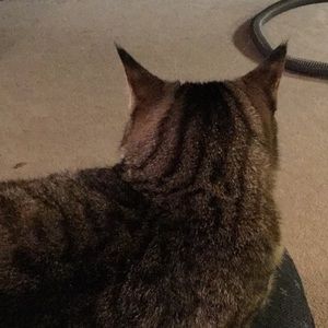 Meet your Posher, Marie